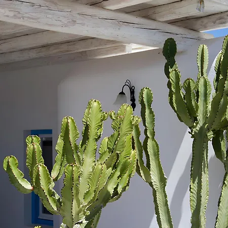 Maison d'hôtes Anamar Destino 5 Stars